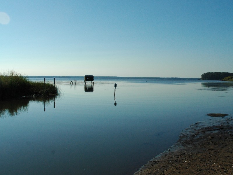 Photos Featherstone National Wildlife Refuge Tour Woodbridge, VA Patch