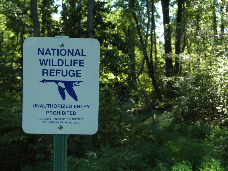 Photos Featherstone National Wildlife Refuge Tour Woodbridge, VA Patch