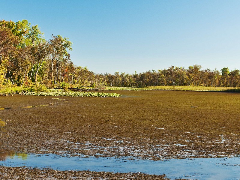 Photos Featherstone National Wildlife Refuge Tour Woodbridge, VA Patch