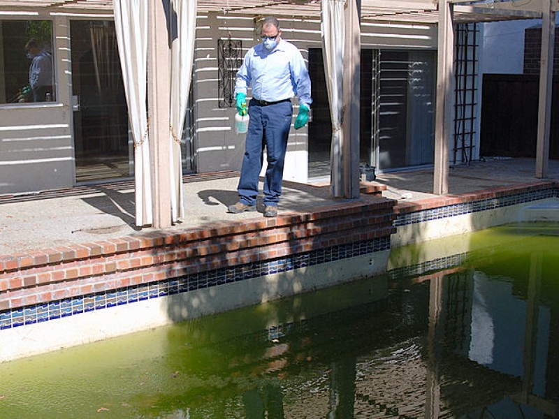 City, Vector Control Team up to Clean Abandoned Swimming