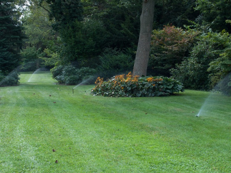 Lawn Care For Early Spring Huntington, NY Patch