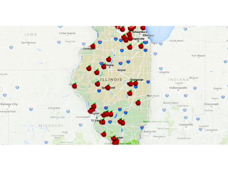 Apple of My Eye The Best Spots to Go ApplePicking This Fall