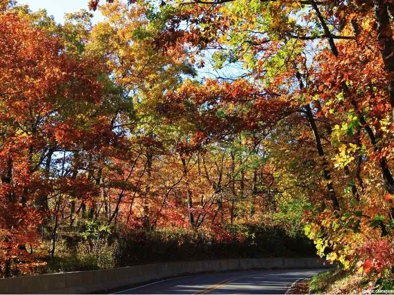 New Lenox Illinois >> 10 Scenic Drives in Illinois to Take During the Fall | Joliet, IL Patch New Lenox Illinois >> 10 Scenic Drives in Illinois to Take During the Fall | Joliet, IL Patch