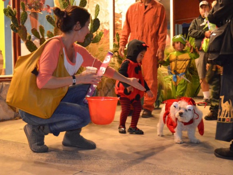 Photos Halloween in Redondo Beach Redondo Beach, CA Patch