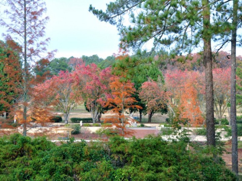 Vines Gardens in Loganville Reopens to the Public Loganville, GA Patch