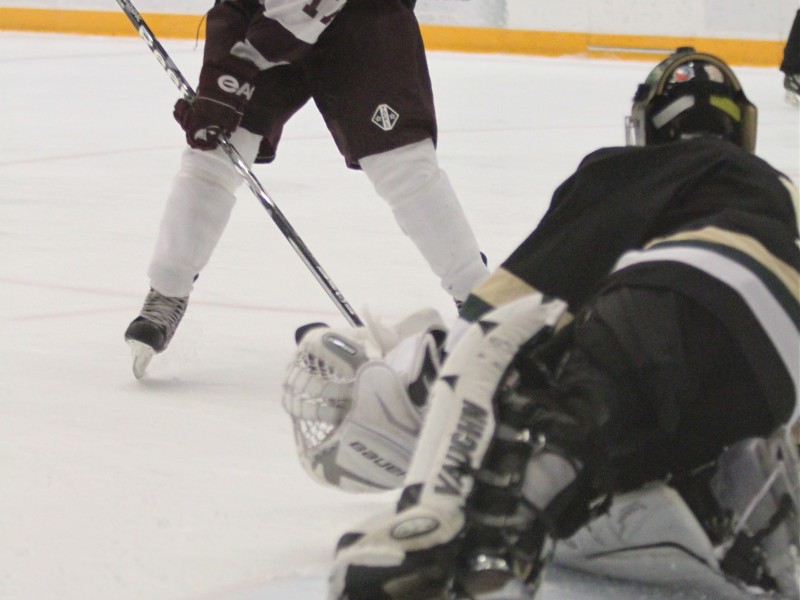 icecat hockey icecat hockey