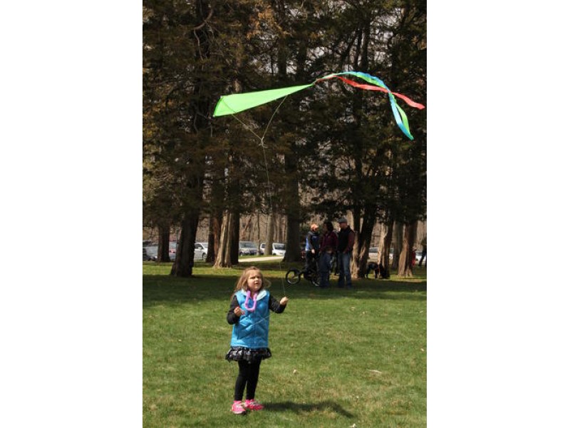 Daffodil Day at the Wadsworth Mansion Middletown, CT Patch