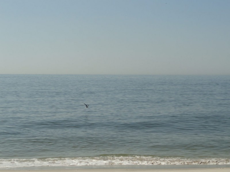 Get Your Town of Babylon Beach Pass Lindenhurst, NY Patch