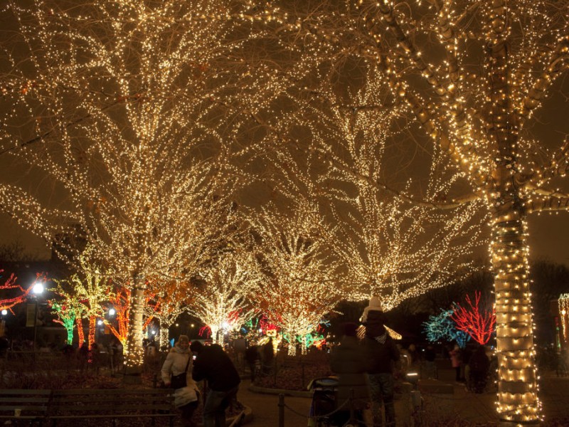 Ignite the Night With 2 Million Lights | Lincoln Park, IL Patch