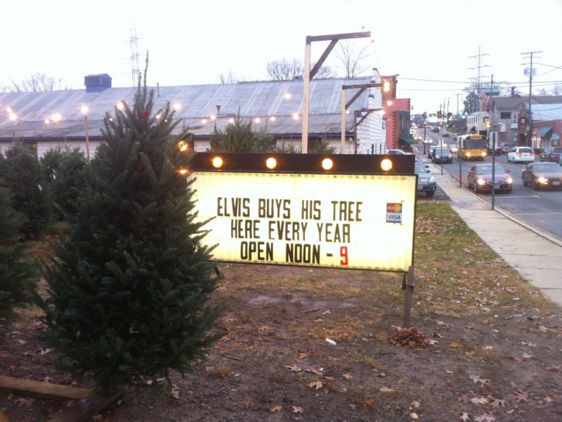 where to buy a christmas tree in herndon herndon va patch where to buy a christmas tree in herndon herndon va patch