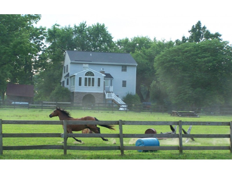 farm city essay contest Bluebird hill farm essay contest write a stellar 200-word essay and you could win a north carolina farm by flights departing from the same city on the. farm city essay contest Bluebird hill farm essay contest write a stellar 200-word essay and you could win a north carolina farm by flights departing from the same city on the.