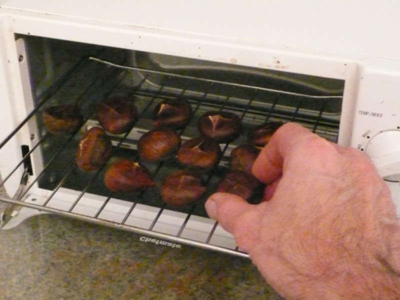 Oven or Toaster Oven Roasted Chestnuts Westborough, MA Patch