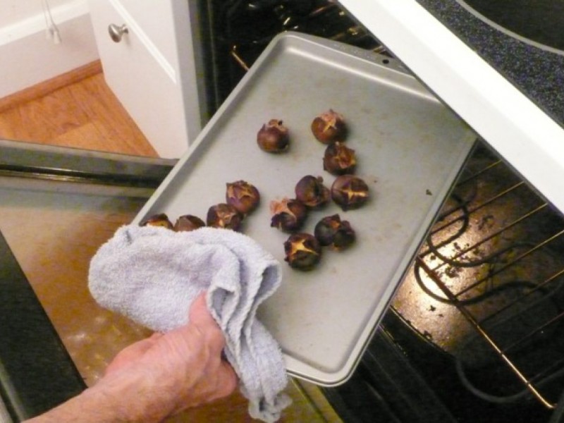 Oven or Toaster Oven Roasted Chestnuts Westborough, MA Patch