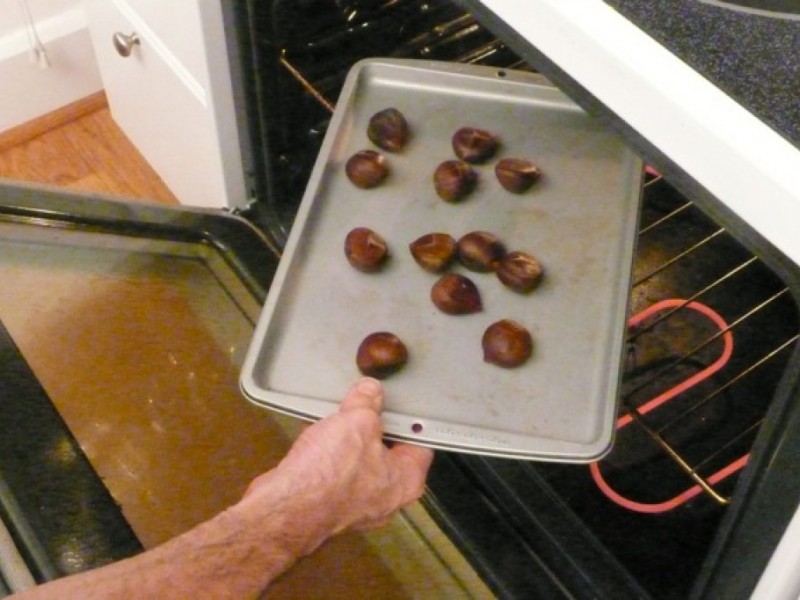 Oven or Toaster Oven Roasted Chestnuts Westborough, MA Patch