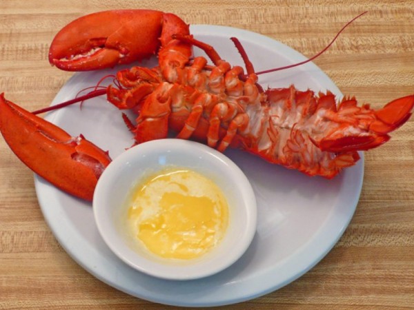 Price Plus Club Members Sign In for Weekly Circulars, Recipes, Savings & More! 1 - 1 1/4 pound lobsters (chicken lobsters) are on sale for $/lb at this week through Thursday, Feb. That's less than half the normal lobster going price.