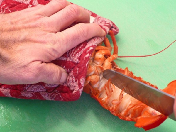 Weekly Circular The Lobster Stop is a family owned and operated restaurant specializing primarily in fried seafood platters and sandwiches, as well as native live lobster. We're proud to offer the finest quality seafood and we have a fish showcase featuring all of our fresh fish and shrimp.4/4().