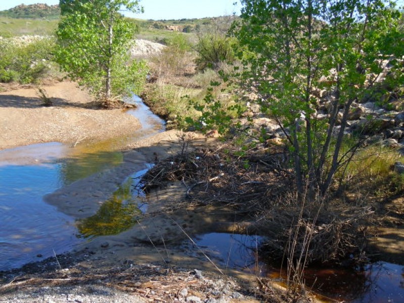 The Chatsworth Nature Preserve Is Open One Day a Year Northridge, CA