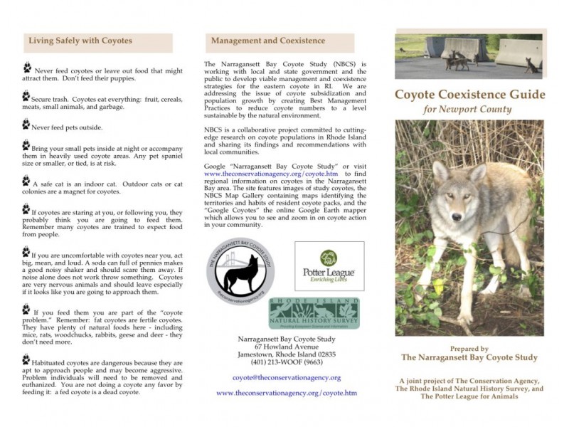 Middletown Pursues Change in Hunting Law to Target Coyotes Middletown