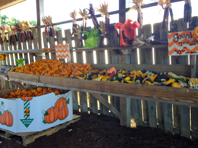 Conklin Farms' Haunted Hayride to Kick Off this Weekend Montville, NJ