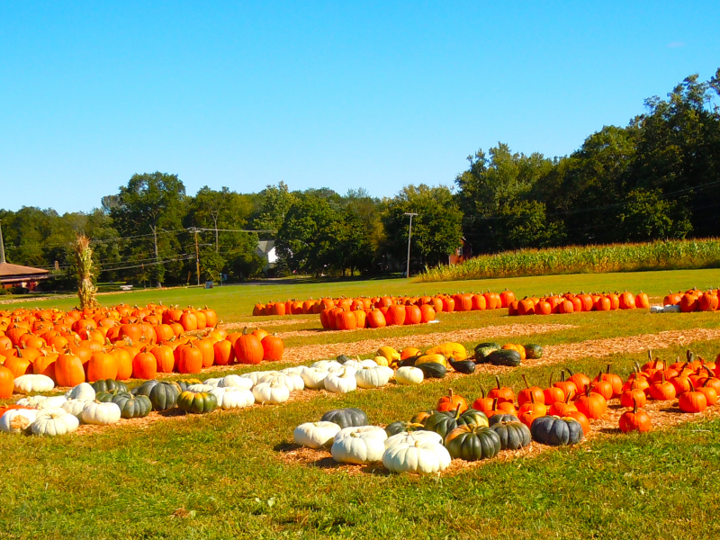 Conklin Farms' Haunted Hayride to Kick Off this Weekend Montville, NJ Patch