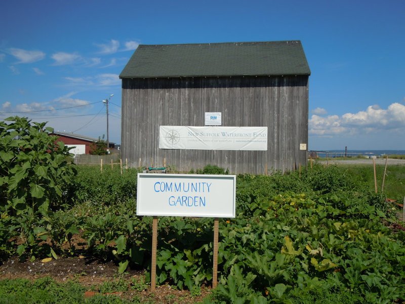 Robins Island Owner to Buy Acre of New Suffolk Waterfront North Fork, NY Patch