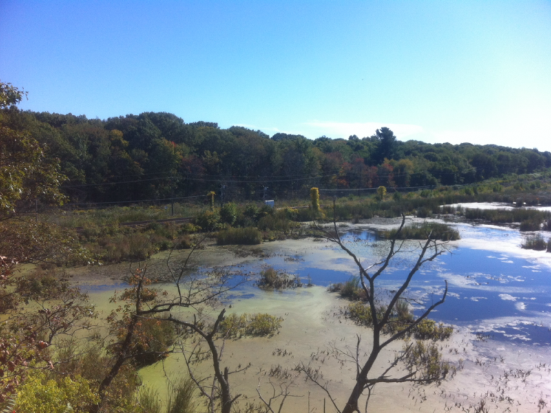 A Walk Through Salem Woods | Salem, MA Patch