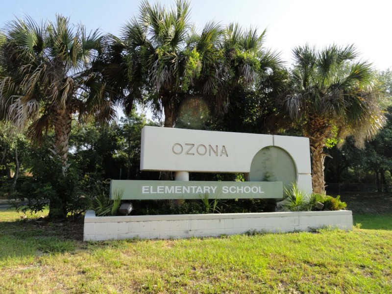 Ozona Elementary Parents Upset About School Zoning Palm Harbor, FL Patch