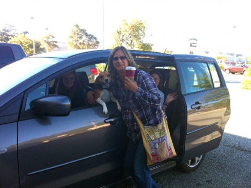 Photos Meet Buddy the HornHonking Dog Palm Harbor, FL Patch