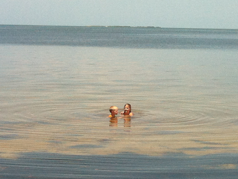 Lazy Summer Days At Crystal Beach Palm Harbor Fl Patch Lazy Summer Days At Crystal Beach 0