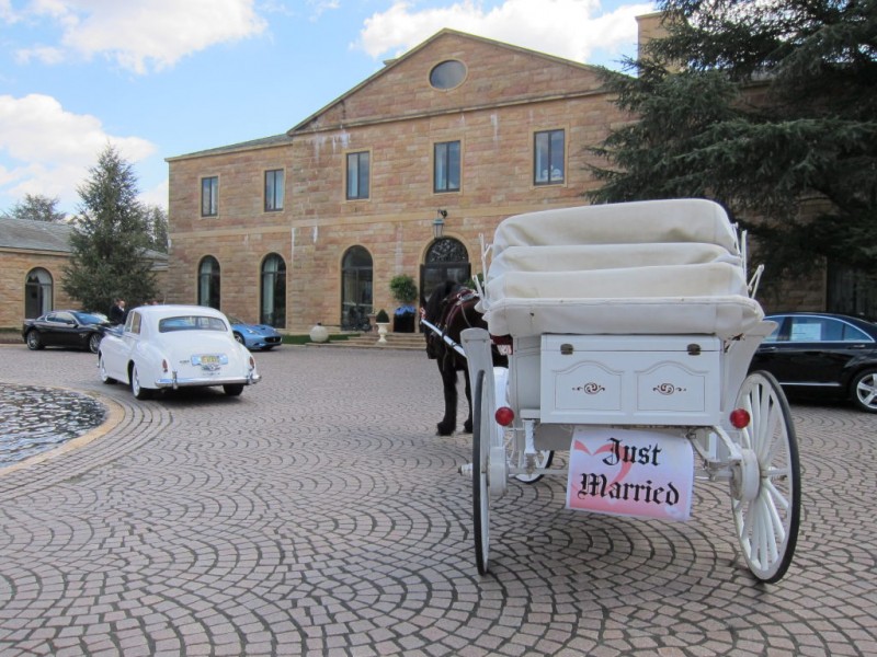 Johnson & Johnson Heir's Estate Opens Its Gates To Public Princeton