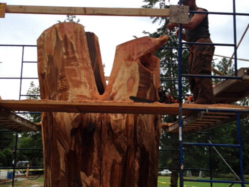 Chainsaw Artist Turning Crescent Creek Park Stump Into ...