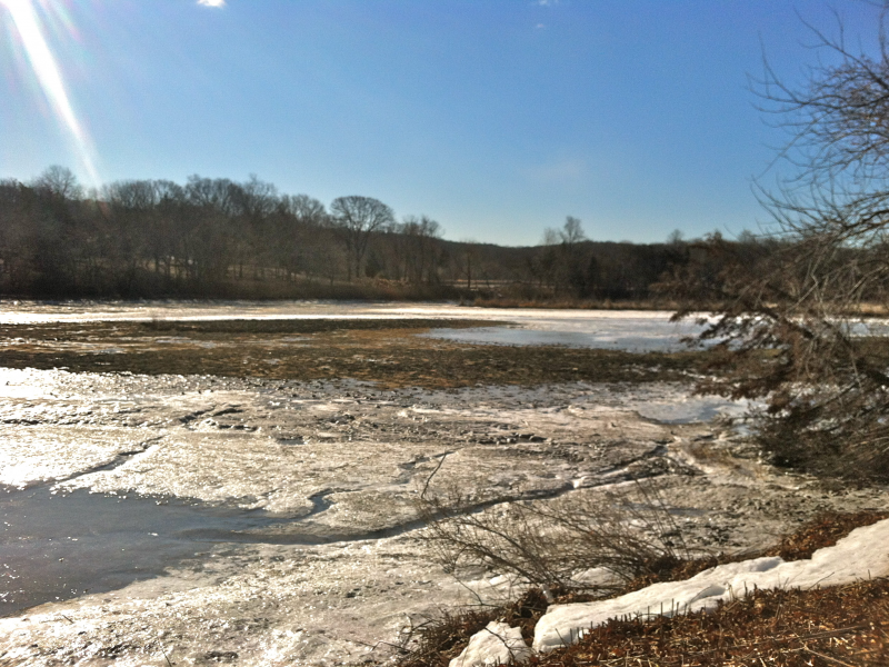 Stretch Out On The Snow At Sunken Meadow Beach Kings Park Ny Patch Stretch Out On The Snow At Sunken Meadow Beach 0