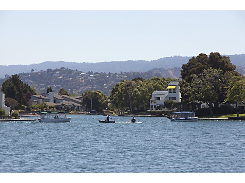 Foster City Lagoon Dyes To Be Blue Foster City, CA Patch