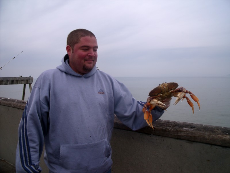 How to Catch Crab on the Coast Half Moon Bay, CA Patch