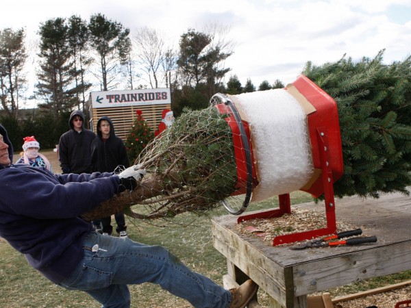 christmas tree shop riverhead the annual christmas tree christmas tree shop riverhead the annual christmas tree