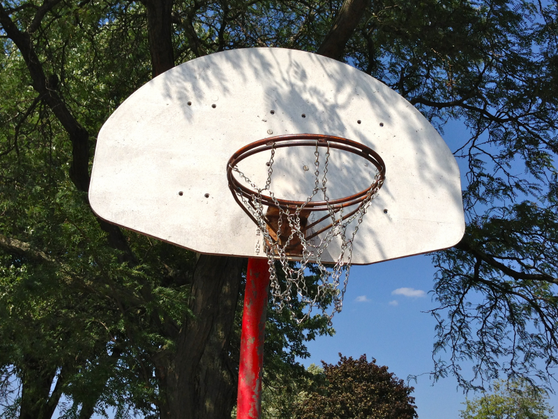 Trustee Wants Basketball Hoops Removed from All Oak Lawn Parks Oak