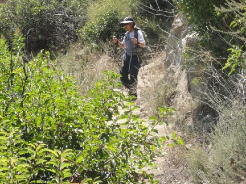 Gallery: Hiking the Mount Wilson Trail to First Water | Sierra Madre ...