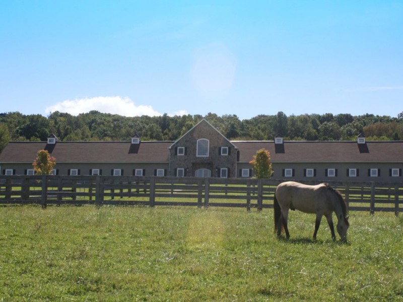 True Heart Stables Comes to Long Valley Long Valley, NJ Patch
