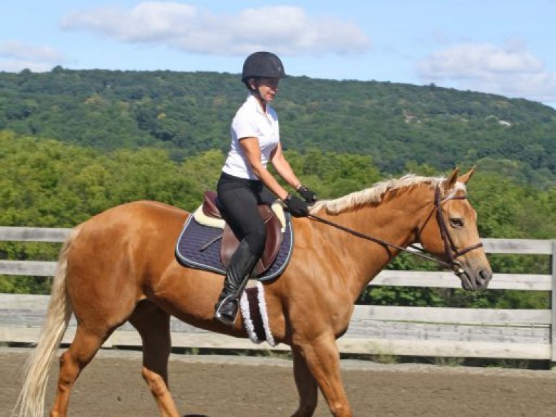 True Heart Stables Comes to Long Valley Long Valley, NJ Patch