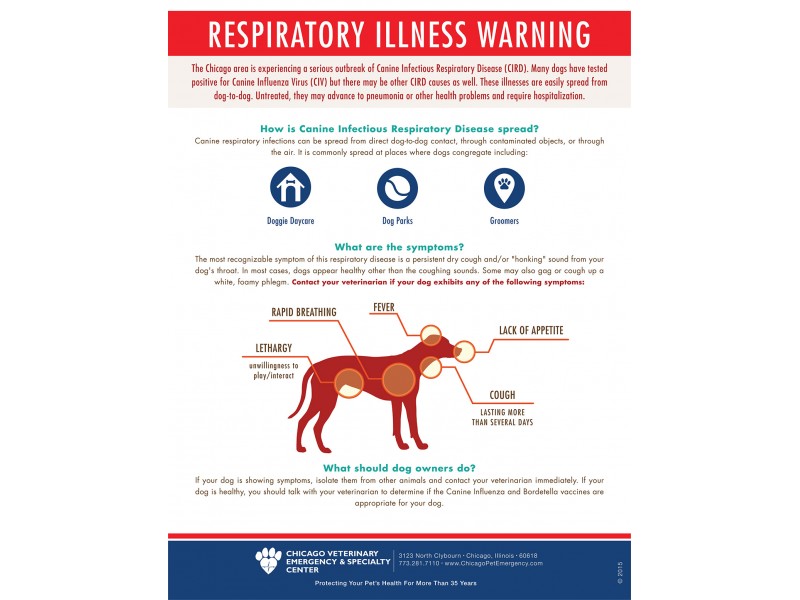 Canine Respiratory Warning | New Lenox, IL Patch