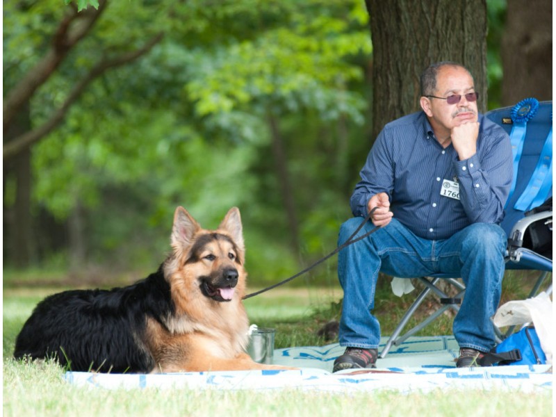 Dog Show In East Windsor Nj Dog Show In East Windsor Nj