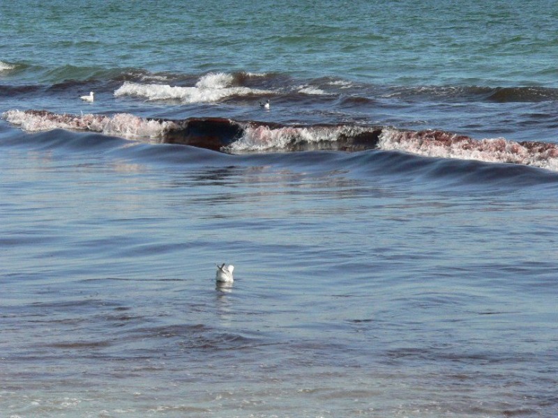 are ri beaches open after labor day