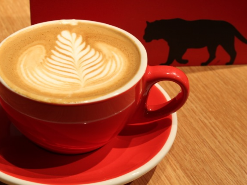 Equator Coffee Bringing Top Notch Espresso to Proof Lab Surf Shop in