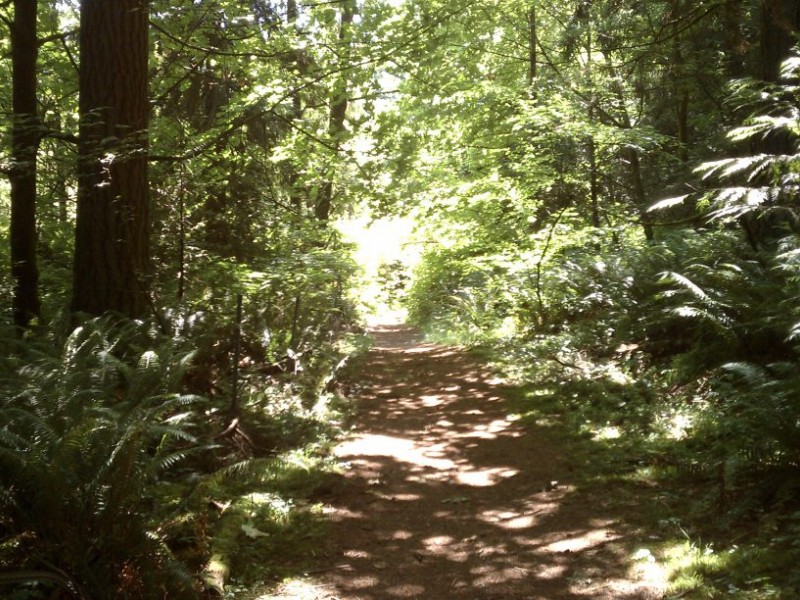 Wilderness Hiking in Gig Harbor Gig Harbor, WA Patch