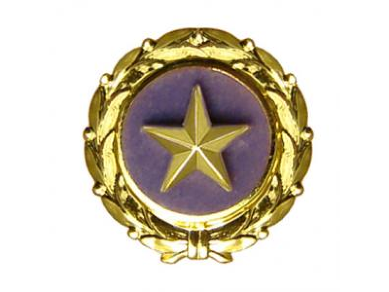 Gold Star Mother's Day | Plainfield, IL Patch