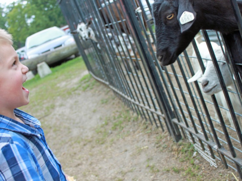 Photo Gallery Yates Cider Mill Seasonal Opening Rochester, MI Patch