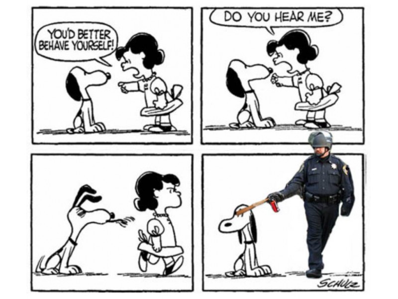 Lt. John Pike is a Meme Sensation (SLIDESHOW) | Davis, CA Patch