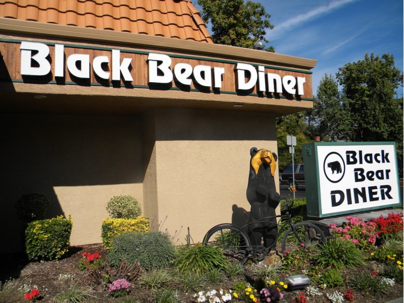 black bear diner closest to my location
