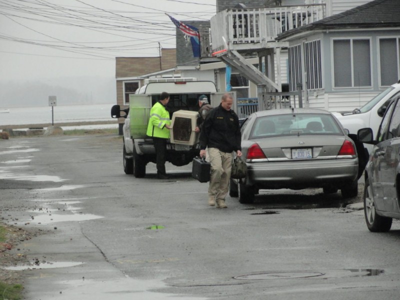 Police, DEA Respond to Incident Near Hampton Beach