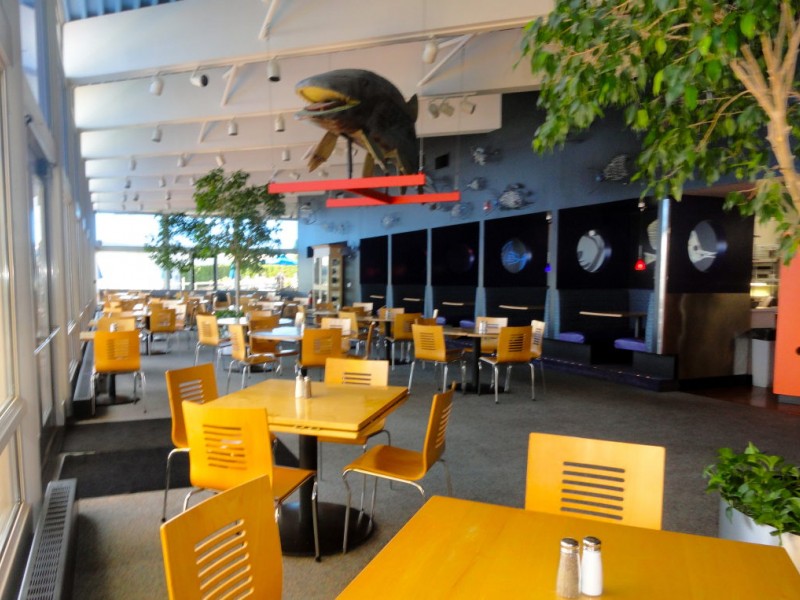 Take a Look Inside the New Tin Fish Restaurant | St. Clair Shores, MI Patch